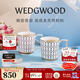 Wedgwood【新年禮物】馬克對杯心形禮盒高顏值骨瓷咖啡杯水杯情侶家用 金粉年華心形禮盒馬克杯藍+紅