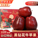 甘美農 正宗天水花牛蘋(píng)果黑鉆蘋(píng)果蛇紅果禮盒脆甜粉面輔食【順豐可選】 8.5斤大果14-16個(gè)(單果260g+)