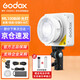 神牛（Godox）ML100Bi攝影燈雙色溫可調便攜夜拍燈人像補光燈戶(hù)外控制室電影視頻攝像燈  ML100Bi【官方標配】