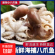 活凍章魚(yú) 迷你小八爪魚(yú)冷凍小章魚(yú) 海鮮源頭直發(fā) 1000g(凈重)  含30%保護冰