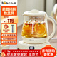 小熊（Bear）養生壺迷你養生杯 0.8L小型煮茶燒水一體多功能煮茶壺 家用宿舍辦公室恒溫花茶壺煮茶器 YSH-D08L1前置傾斜屏 0.8L