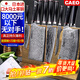 CAEO日本大馬士革鋼菜刀廚刀切肉片刀不銹鋼刀具家用德國廚師廚房套裝 【日本大馬士革鋼-青龍9件套】