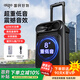 愛(ài)國者S55 8吋廣場(chǎng)舞音響大功率便攜式戶(hù)外重低音藍牙音箱k歌大音量移動(dòng)拉桿音箱室外演出設備 標準版