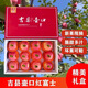 吉縣蘋(píng)果【禮盒裝】正宗山西吉縣紅富士蘋(píng)果壺口脆甜蘋(píng)果精選新鮮送禮水果 90以上大果【12顆高端送禮佳品】