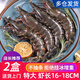 海喚馬來(lái)西亞冷凍超大黑虎蝦 大蝦 老虎蝦海蝦 大號對蝦草蝦 12只/盒 400g(凈重)  *2盒 17cm