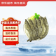 京東超市海外直采泰國活凍黑虎蝦凈重2斤 (31/40規格) 自營(yíng)海鮮