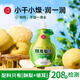 小碗良食果汁飲料果蔬汁銀耳梨汁無(wú)添加鮮榨嬰兒寶寶兒童成人禮盒裝 1箱