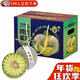 鮮其日本引種冰淇淋網(wǎng)紋蜜瓜熱帶當季新鮮水果禮盒密瓜玫瓏海陽(yáng)蜜瓜 4顆精選匠心禮盒裝