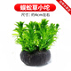 寵小俠水草植物魚(yú)缸后景真草造景生態(tài)全套擺件養魚(yú)增氧水培綠植 【好養推薦】蜈蚣草小坨1個(gè)（后景草）