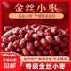 【新棗】特級滄州金絲小棗2500g新貨農家自產(chǎn)5斤整箱零食干紅棗子 優(yōu)質(zhì)滄州金絲小棗【5斤】棗香濃郁