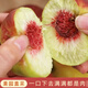 胖東來(lái)同款云南冬桃甜冬桃山東沂蒙蜜桃雪桃新鮮毛桃現發(fā)脆甜冬桃 2.1斤 初嘗購 小冬桃一斤約5-8個(gè)