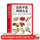 自我中醫調理大全 調節臟腑貫通氣血中醫自學(xué)入門(mén)中醫基礎理論知識診斷全書(shū) 人體經(jīng)絡(luò )按摩推拿書(shū)籍偏方藥材