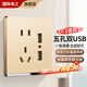 國際電工開(kāi)關(guān)插座面板86型家用墻壁暗裝單開(kāi)雙控五孔網(wǎng)絡(luò )電源插座香檳金色 五孔+雙USB