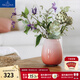 德國唯寶（Villeroy&Boch）【新品】珠光貝影珊瑚粉花瓶家居客廳裝飾擺件新婚禮 大花瓶 1.78L