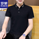 羅蒙（ROMON）短袖T恤男夏季polo衫半袖翻領(lǐng)商務(wù)休閑修身打底衫 黑色 2XL