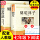 駱駝祥子 鋼鐵是怎樣煉成的原著(zhù)正版七年級下必讀 配套人教版名著(zhù)初中語(yǔ)文配套課外閱讀語(yǔ)文同步教材 贈學(xué)習資料和音頻讀者 白馬篇 有主見(jiàn)的人 內心強大且自信 【七下-2冊】駱駝祥子+鋼鐵【配套人教版】