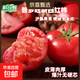 【柿柿如意】正宗普羅旺斯沙瓤西紅柿水果自然熟番茄直播間 5斤彩箱 凈重 4.5斤 包裝精致-饋贈佳品 陜西普羅旺斯【小時(shí)候的味道】