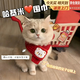 SUOLUOMEN貓咪新年圍巾寵物圍脖小狗過(guò)年紅色裝飾衣服貓項圈編織口水巾 全長(cháng)45厘米【針織圍巾哈基米小熊】 哈基米過(guò)年小圍巾 喵來(lái)運轉