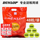 DUNLOP登陸普訓練網(wǎng)球無(wú)壓訓練球耐磨高彈性進(jìn)階比賽球袋裝散裝 鄧祿普訓練球10粒散裝
