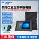 技森三防工業(yè)平板電腦防爆防水塵安卓一體機加固掃碼指紋手持工業(yè)平板pad工業(yè)一體機win11三防平板定制 10.1英寸-堅固版 N5100/Win11/8G+128G