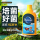 大禹德邦硝化細菌活菌魚(yú)缸用消化細菌水族凈水劑水質(zhì)穩定劑非魚(yú)藥