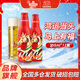 青島啤酒（TsingTao）鴻運當頭馬年生肖酒  355ml*12瓶 喜慶春節年貨送禮 鋁瓶裝 整箱 355mL 12瓶