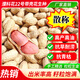 一斗田散稱(chēng)5Kg-濮科花22號高產(chǎn)花生種子 耐旱耐澇抗病強 皮薄籽大 散稱(chēng)5KG-正品保證