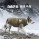 嬉皮狗（hipidog）大狗衣服簡(jiǎn)約布標大狗狗沖鋒馬甲金毛邊牧中大型犬秋冬季寵物服裝 蒂安綠-馬甲 3XL （建議體重20-30斤）