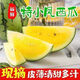小鳳西瓜現摘特小鳳黃心西瓜新鮮皮薄黃肉水果黃瓤西瓜 【清甜多汁】 清甜多汁【1個(gè)瓜】帶箱2斤