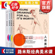 【叢書(shū)自選】路米斯經(jīng)典美術(shù)課 人體素描\/頭手素描\/素描基礎\/創(chuàng  )意插畫(huà)全4冊 西方經(jīng)典美術(shù)技法譯叢 上海人民美術(shù)出版社 套裝全4冊