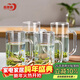 青蘋(píng)果帶把水杯茶杯 扎啤杯啤酒杯 無(wú)鉛玻璃杯可樂(lè )杯飲料杯4只裝320ml