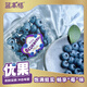 藍高恬15/18/20mm 果園直發(fā)新鮮藍莓【無(wú)紙盒發(fā)貨】 18mm 125gX4盒（不含紙盒發(fā)貨）