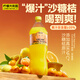 檸檬共和國（Lemon Republic）云霧砂糖橘復合氣泡果汁年貨飲料大容量氣泡飲1.25L一瓶年貨