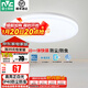 雷士（NVC）陽(yáng)臺燈臥室燈吸頂燈燈具燈飾廚房燈LED照明燈現代簡(jiǎn)約燈飾衛生間 如雪白 24瓦 正白光 IP40防蟲(chóng)
