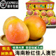 鑫果滋【順豐】海南澳芒 三亞熱帶水果當季新鮮黃青皮凱特粉紅澳芒芒果 大果400g+ 4.5-5斤彩箱