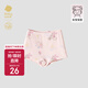 babycare山茶花兒童內褲嬰兒褲衩平角褲寶寶 提琴兔 1條  110 