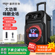 愛(ài)國者S56 12吋廣場(chǎng)舞音響無(wú)線(xiàn)藍牙拉桿音箱大功率戶(hù)外音響K歌便攜低音炮擺攤擴音器喇叭 標準版