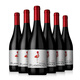 帕斯蒙火烈鳥(niǎo) 智利原瓶原裝進(jìn)口紅酒整箱 西拉Syrah干紅葡萄酒一箱6支*750ml