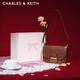 CHARLES&KEITH金屬扣翻蓋復古豆腐包單肩包包女包生日禮物新年禮物CK2-80782444 Dark Brown深棕色 M
