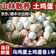鄉公館雞蛋新鮮正宗農家散養農村無(wú)抗蟲(chóng)草土雞蛋烏雞蛋綠殼雞蛋混合裝 10枚土雞蛋 + 10枚烏雞蛋