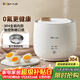 小熊（Bear）煮蛋器 蒸蛋器 智能定時(shí) 自動(dòng)斷電 小型不銹鋼 防干燒 蒸煮雞蛋一體機神器ZDQ-B06R2