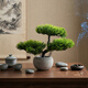 匠心綻放美人松仿真松樹(shù)盆景仿真綠植客廳盆景擺件桌面禪意中式裝飾20303