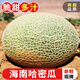 探味君 海南哈密瓜 應當季新鮮水果脆甜網(wǎng)紋瓜西州蜜香瓜整箱 生鮮 凈重4.5-5斤 【嘗鮮裝】頭茬現摘