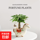 馬上發(fā)財樹(shù)小盆栽辦公室內桌面綠植招財樹(shù)植物馬年伴手禮小馬擺件 五福發(fā)財樹(shù)+小馬陶瓷盆【送+鋪面石】