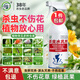 坤寧王花卉殺蟲(chóng)劑植物土壤綠蔬菜蚜蟲(chóng)小黑飛月季花草紅蜘蛛蚧殼蟲(chóng)500ml