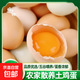 稀貴滋物 農場(chǎng)直發(fā)鮮雞蛋五谷鮮雞蛋谷物喂養 生鮮買(mǎi)菜超市 農家土雞蛋10枚400g