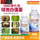 綠海球孢白僵菌100億孢子懸浮劑  小菜蛾玉米螟地下害蟲(chóng)殺蟲(chóng)劑 100ml