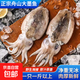新鮮大墨魚(yú)超大號野生海捕鮮活水產(chǎn)烏賊大目魚(yú)冷凍無(wú)冰衣生鮮海鮮 2只特大墨魚(yú)（約2-2.8斤）