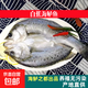 深海七星三去開(kāi)背免洗海鱸魚(yú)空保鮮活魚(yú)新鮮速凍冷凍清蒸高營(yíng)養 400克-500克 開(kāi)背免洗海鱸魚(yú)1條【鮮活開(kāi)背】嘗鮮