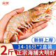 朵芙海捕大明蝦 大對蝦 鮮活船凍 對蝦 竹節蝦海蝦大蝦過(guò)年禮盒送禮 16-18cm大明蝦 500g(凈重)  *2盒